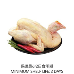 CHINA 中國冰鮮農家雞 1 PC